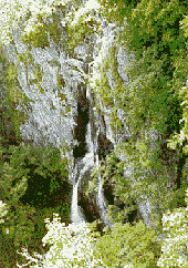 The Boyana Falls